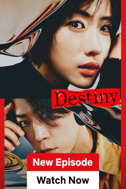 L'affiche originale du film Destiny en japonais