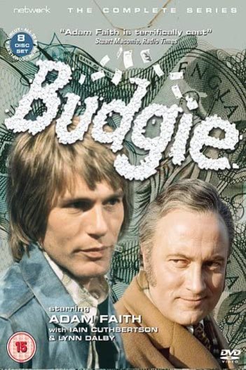 Poster of the movie Budgie