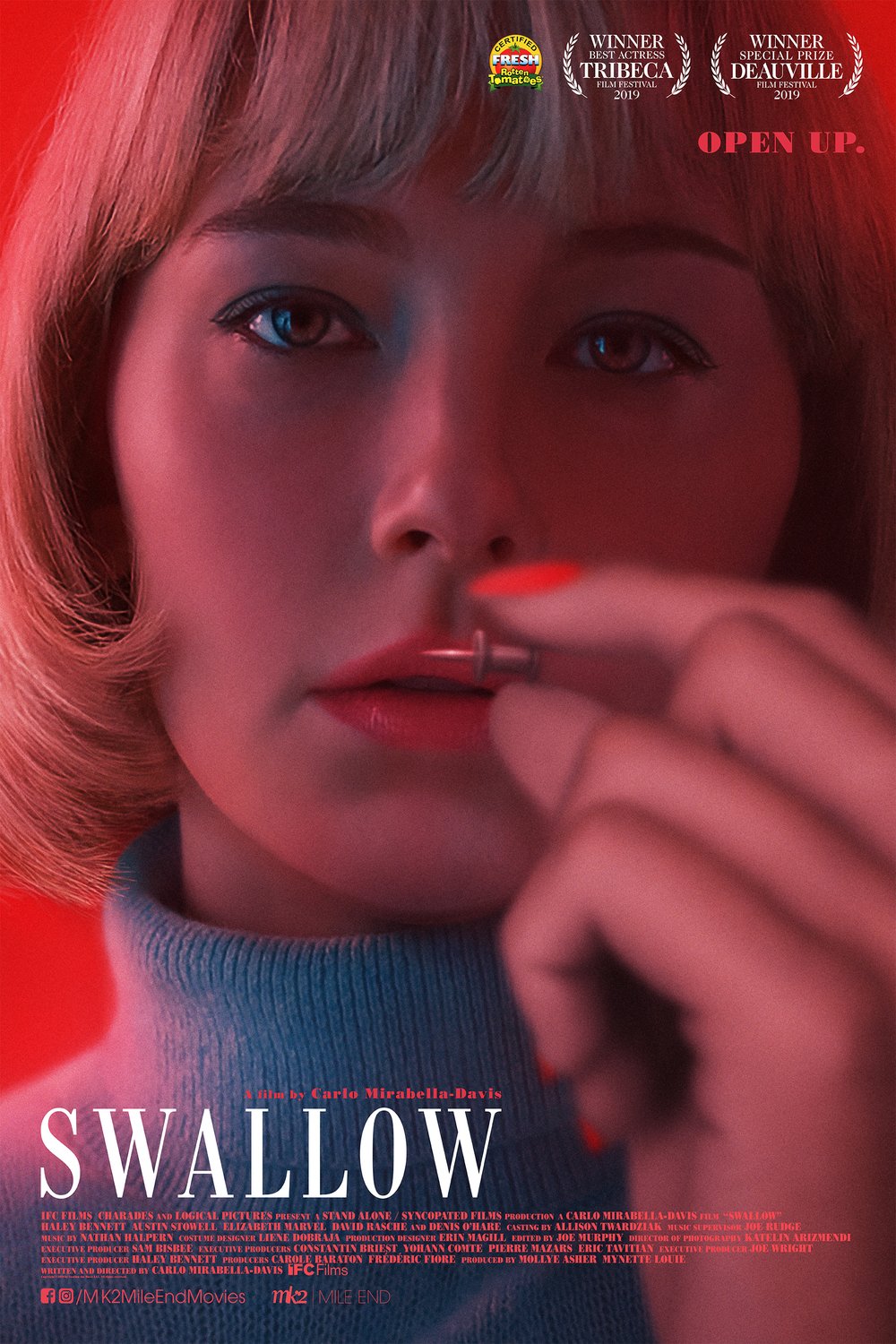 Poster of the movie Swallow