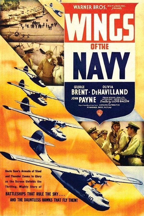 Poster of the movie Wings of the Navy