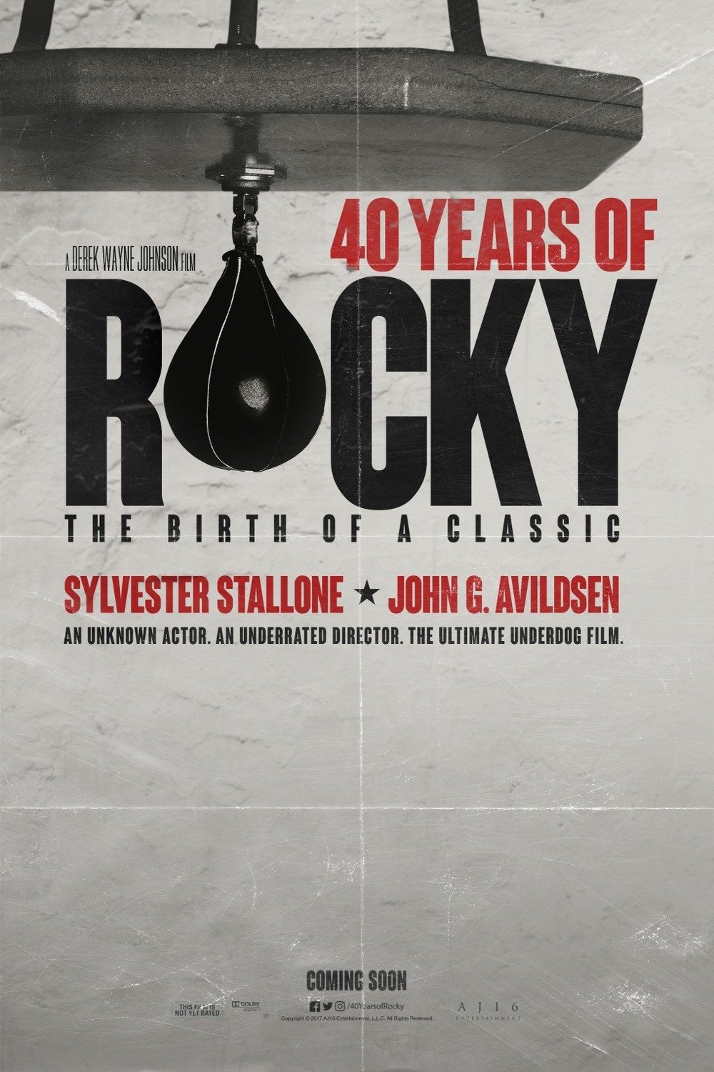 Poster of the movie 40 Years of Rocky: The Birth of a Classic