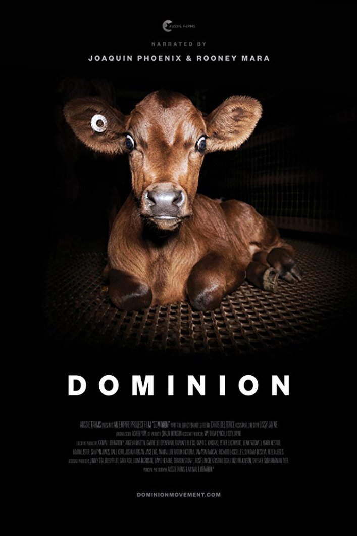 Poster of the movie Dominion