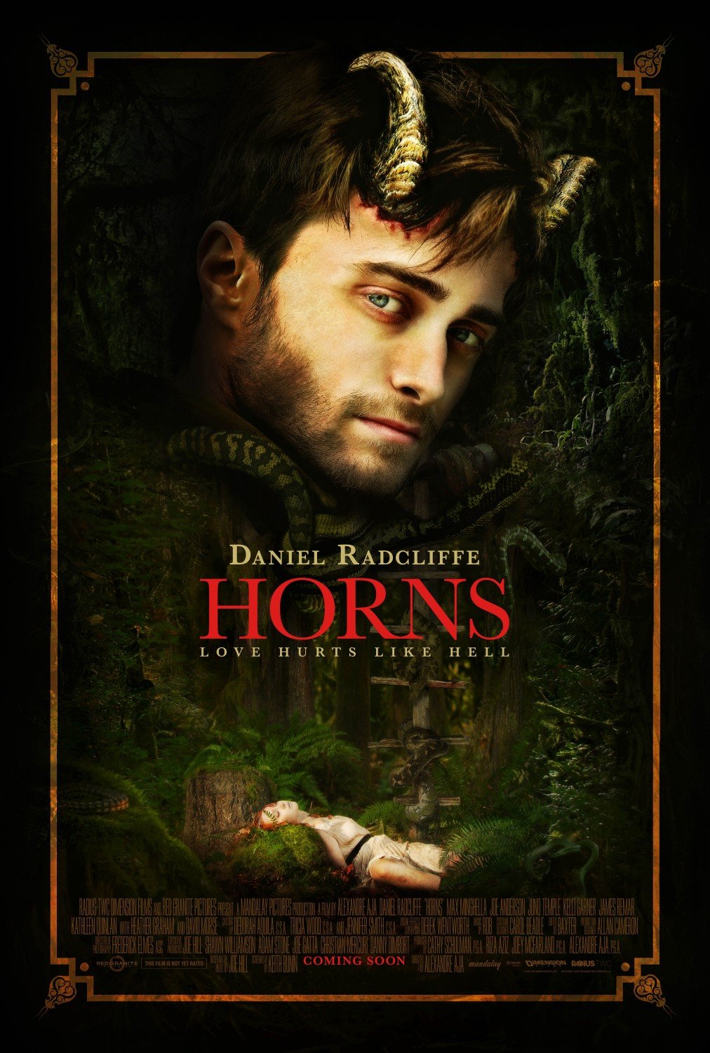 Poster of the movie Horns