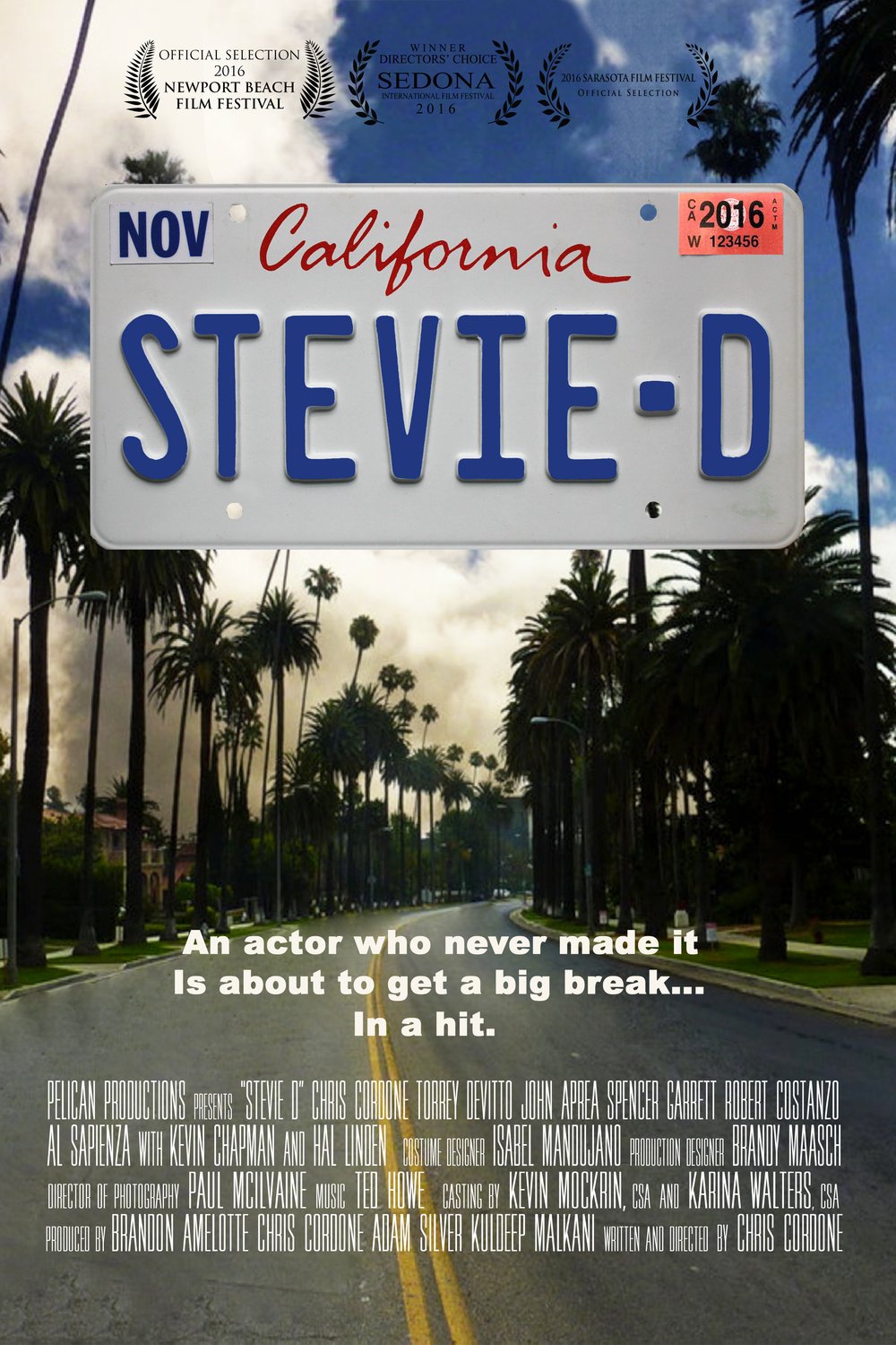 Poster of the movie Stevie D
