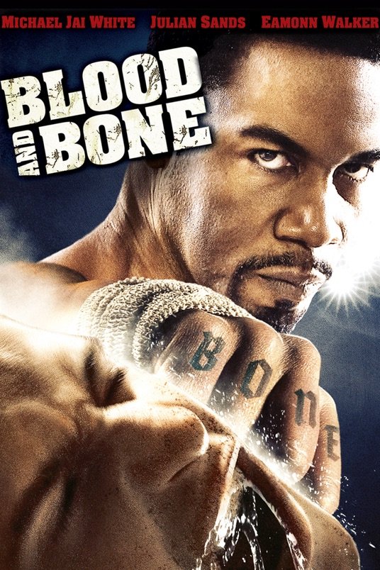 Poster of the movie Blood and Bone
