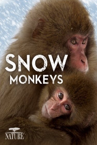 Poster of the movie Nature: Snow Monkeys