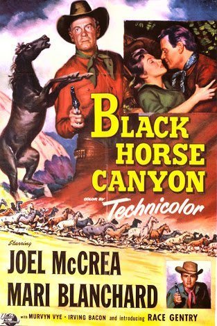 Poster of the movie Black Horse Canyon