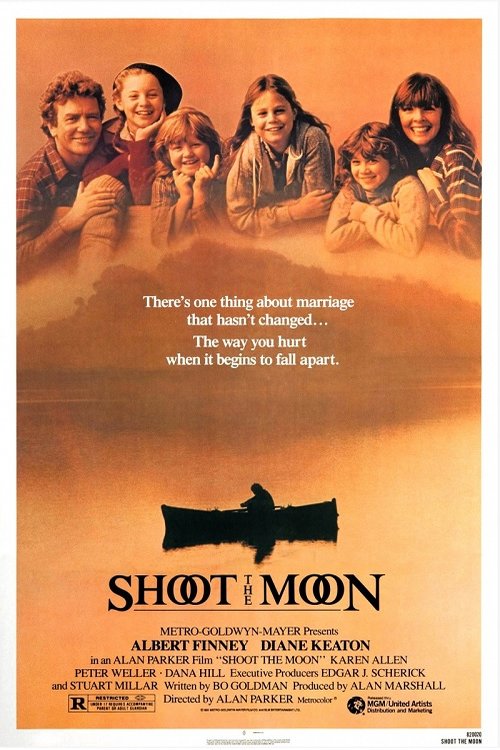 Poster of the movie Shoot the Moon