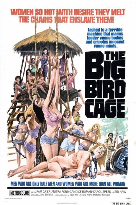 Poster of the movie The Big Bird Cage