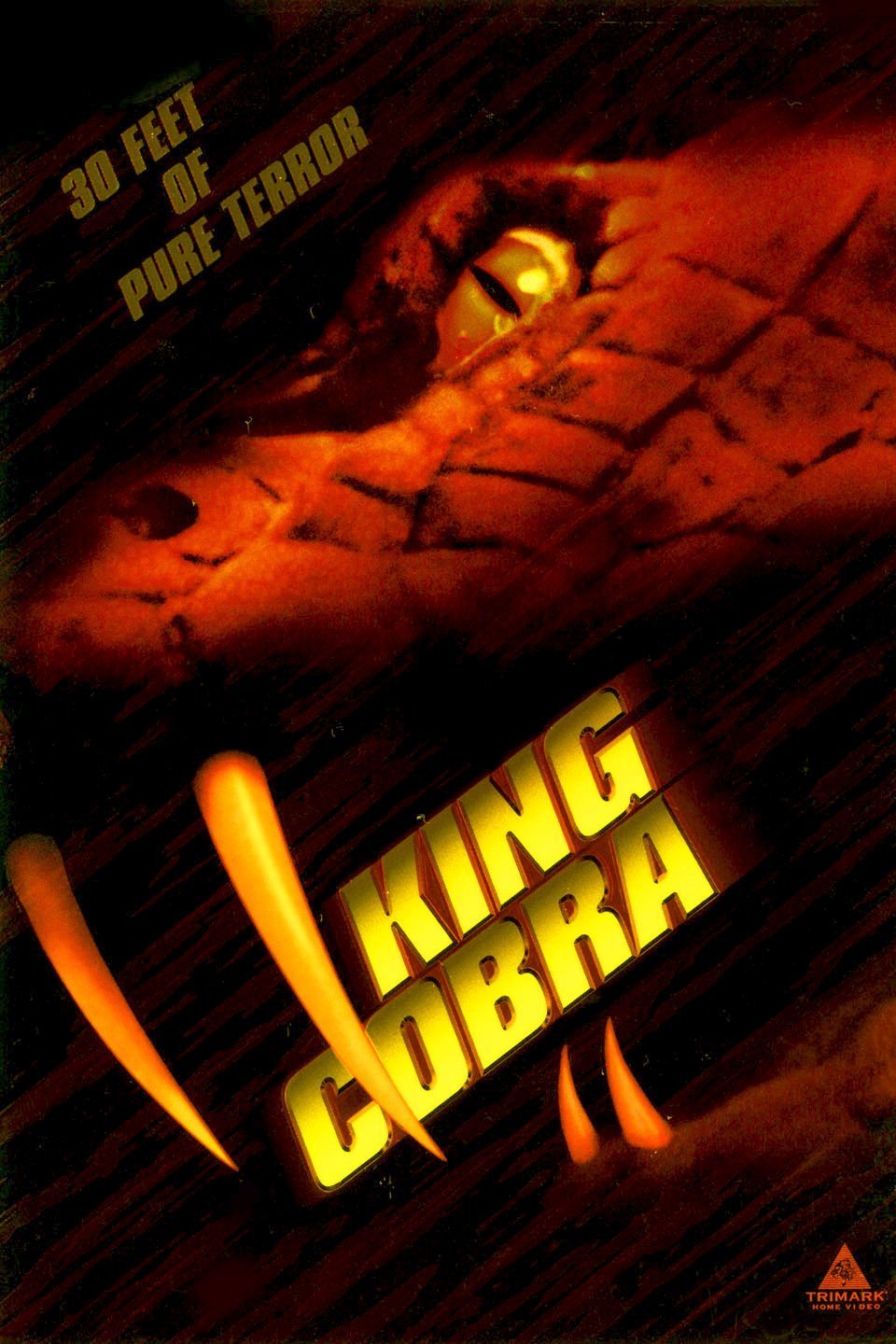 Poster of the movie King Cobra