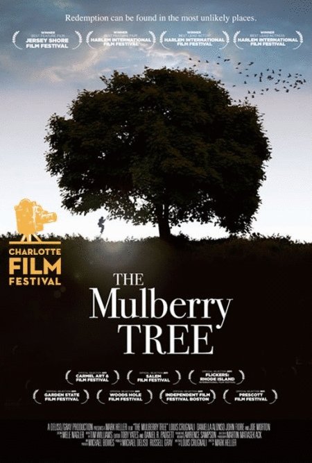 Poster of the movie The Mulberry Tree