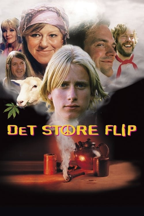Poster of the movie Det store flip