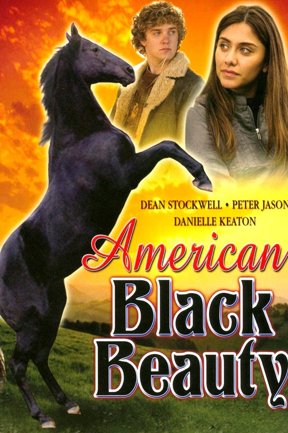 Poster of the movie American Black Beauty