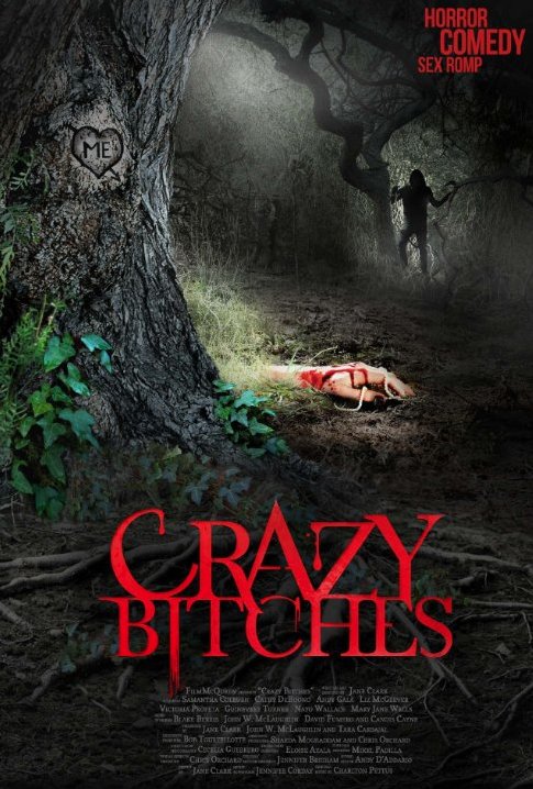 Poster of the movie Crazy Bitches