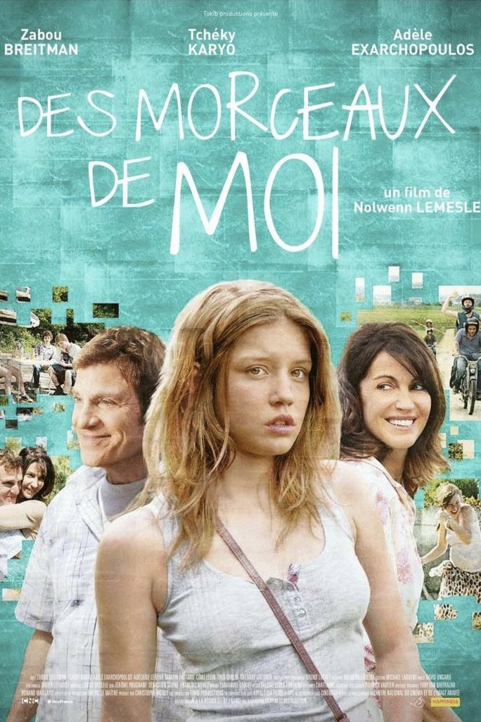Poster of the movie Des morceaux de moi