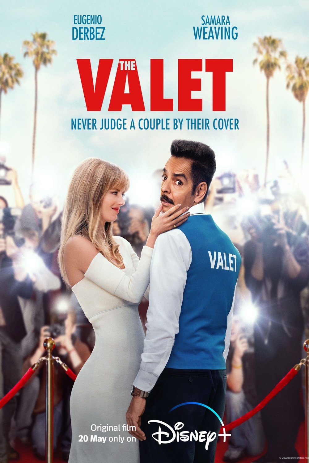 Poster of the movie The Valet