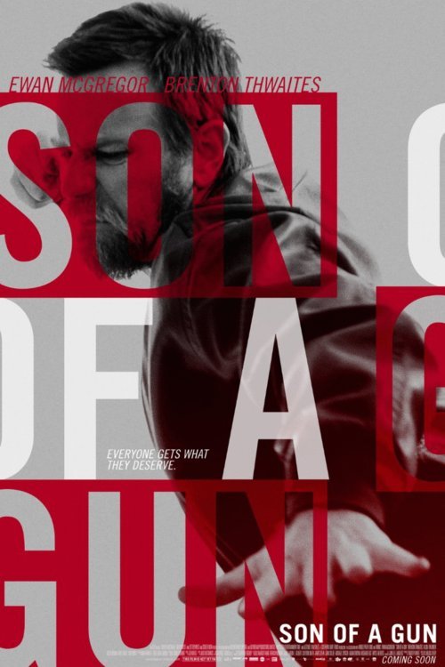 Poster of the movie Son of a Gun