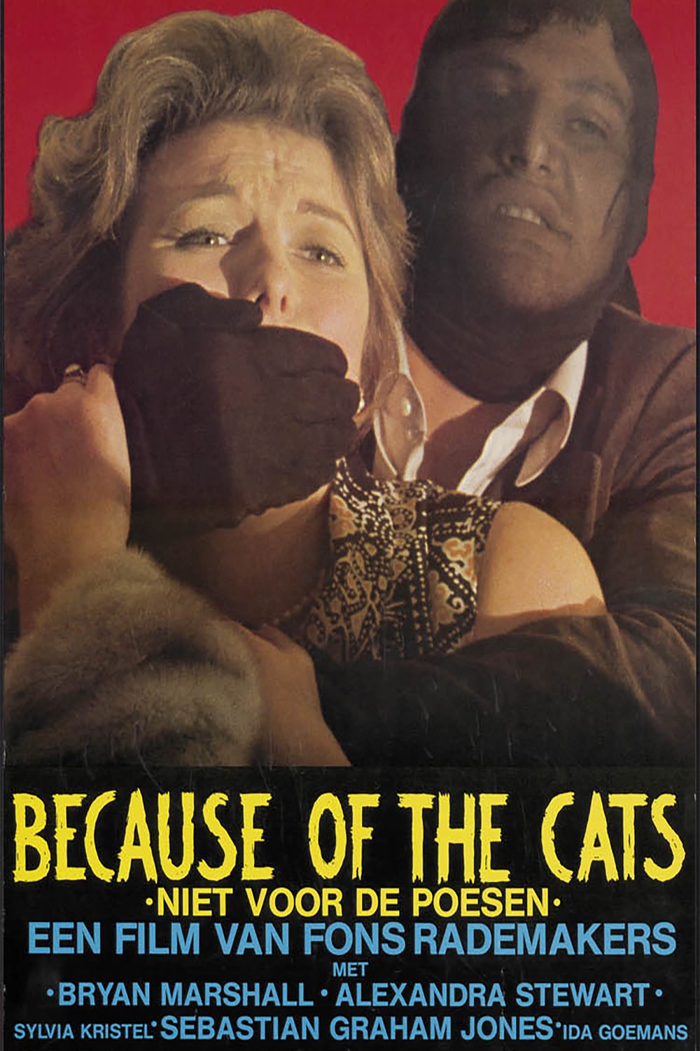 Poster of the movie Because of the Cats