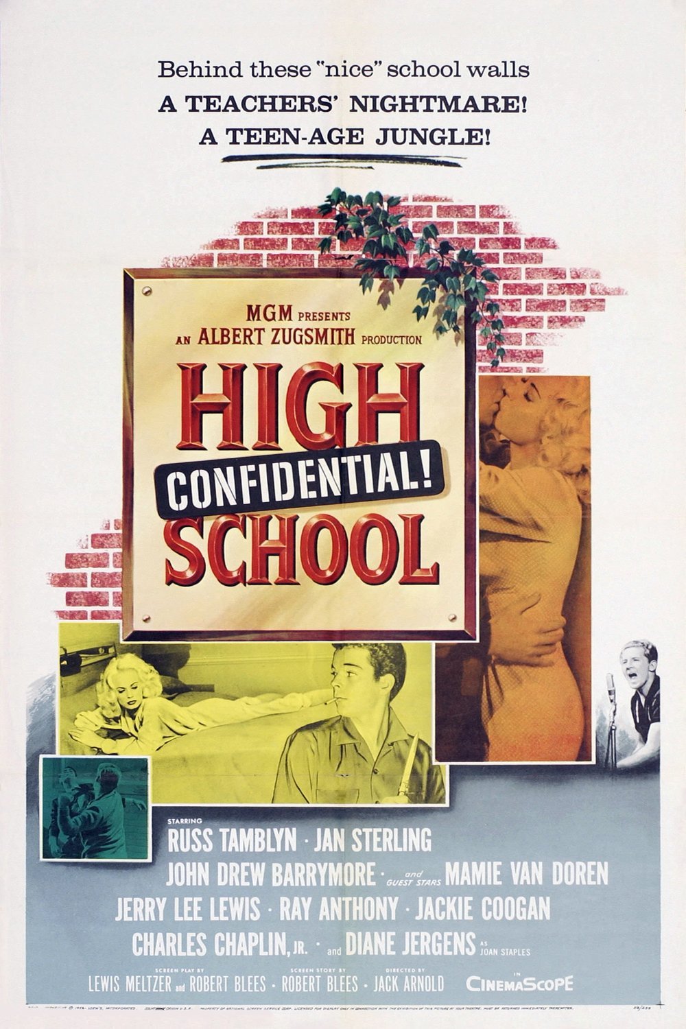 Poster of the movie High School Confidential!