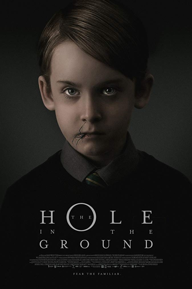 Poster of the movie The Hole in the Ground