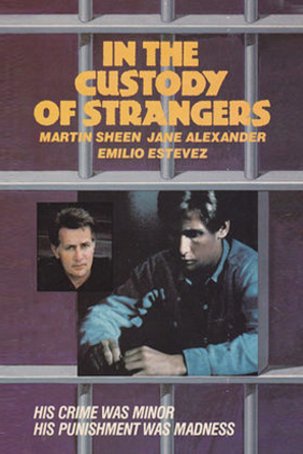Poster of the movie In the Custody of Strangers