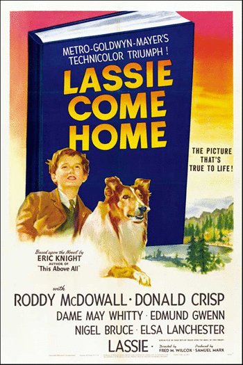 Poster of the movie Lassie Come Home