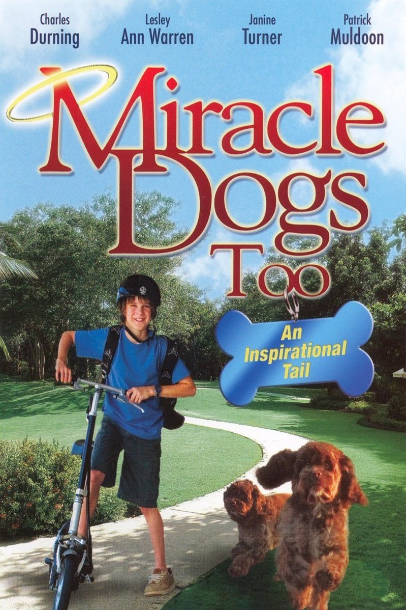 Poster of the movie Miracle Dogs Too
