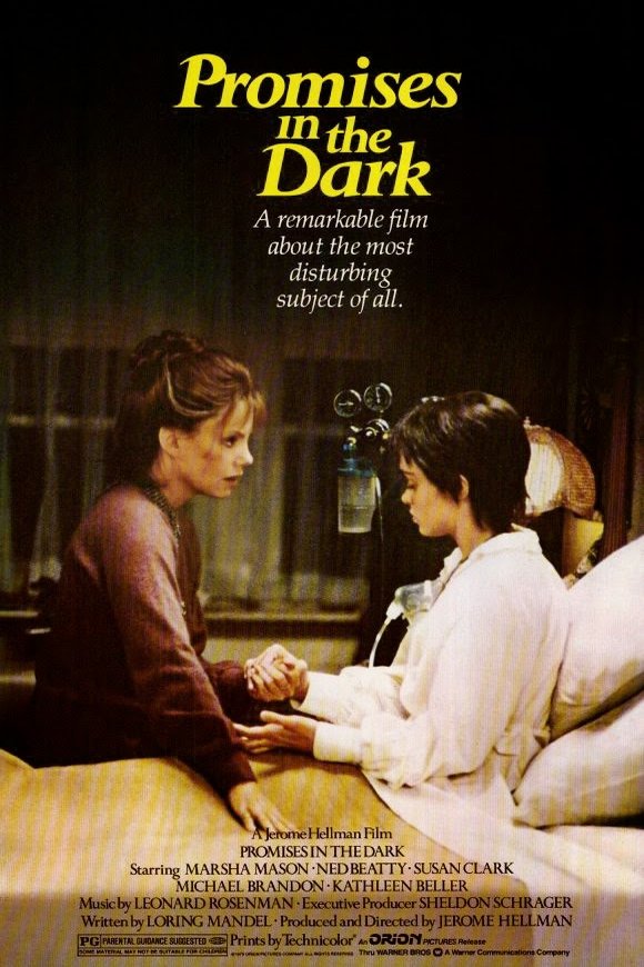 Poster of the movie Promises in the Dark