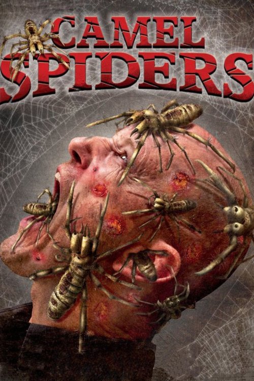 Poster of the movie Camel Spiders