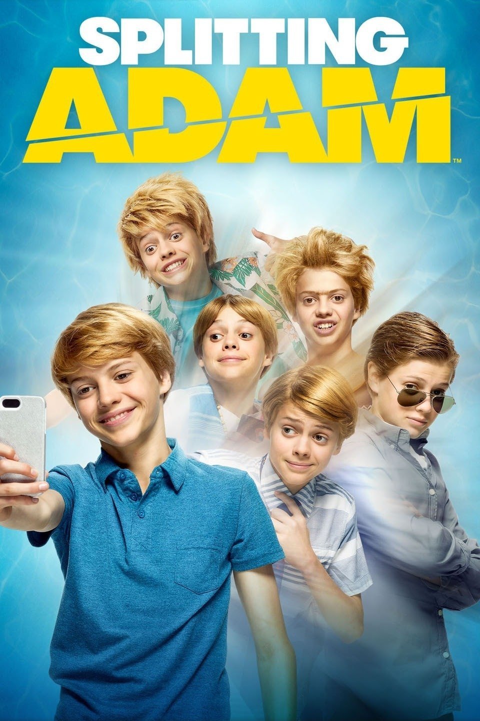 Poster of the movie Splitting Adam