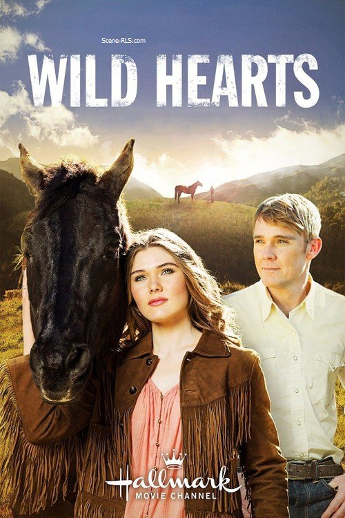 Poster of the movie Wild Hearts