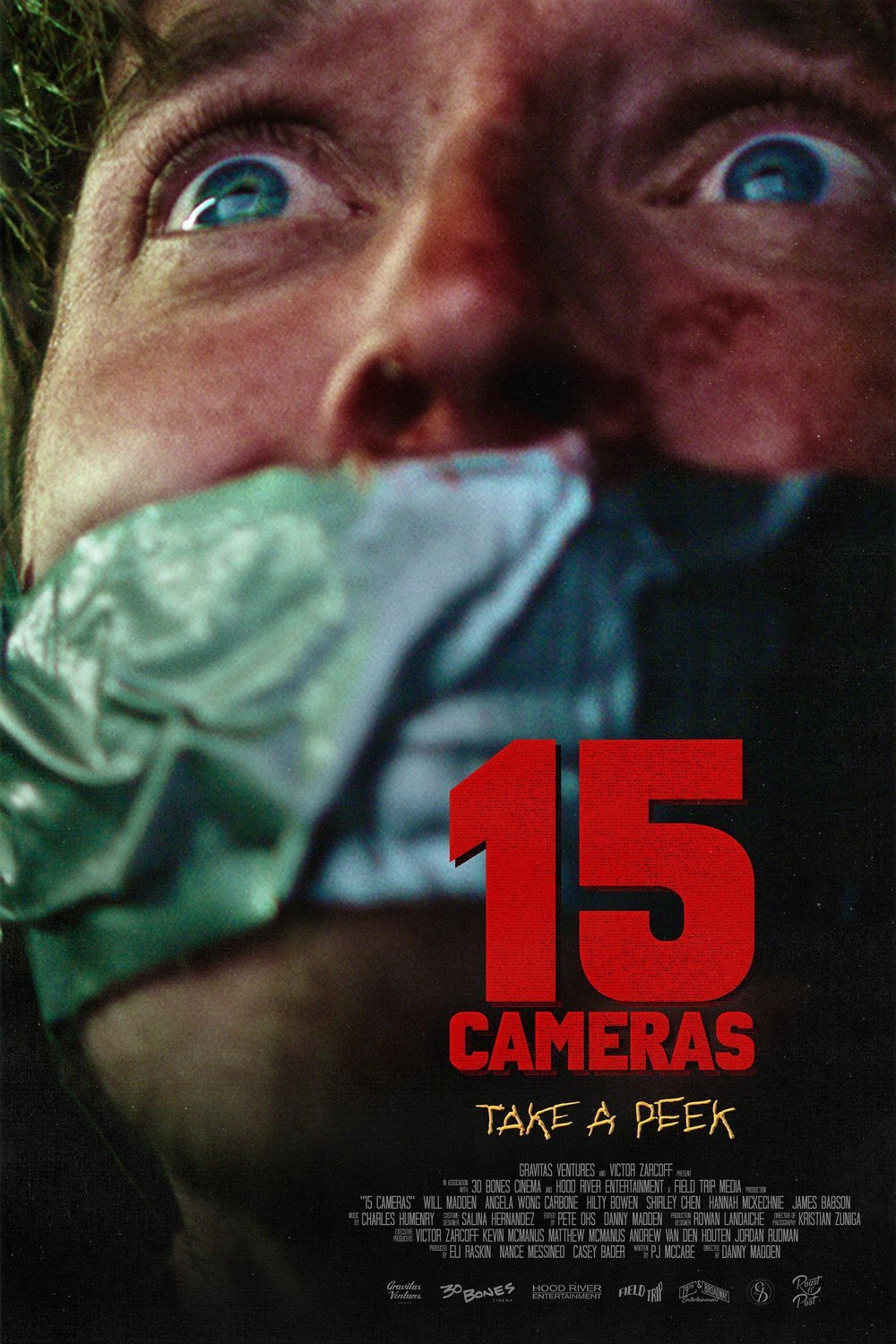 Poster of the movie 15 Cameras