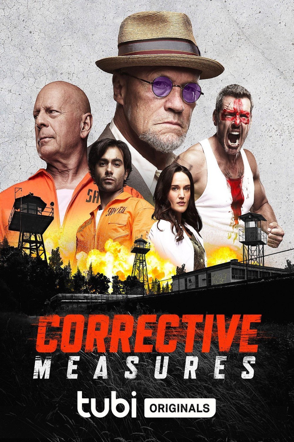 Poster of the movie Corrective Measures