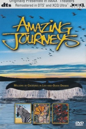Poster of the movie Amazing Journeys