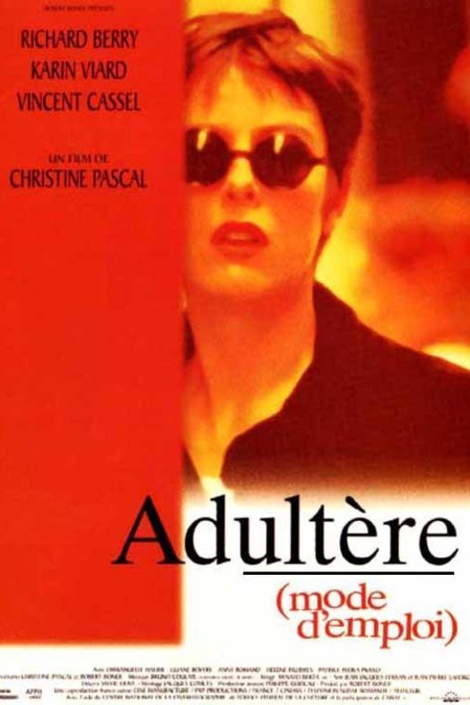 Poster of the movie Adultery: A User's Guide