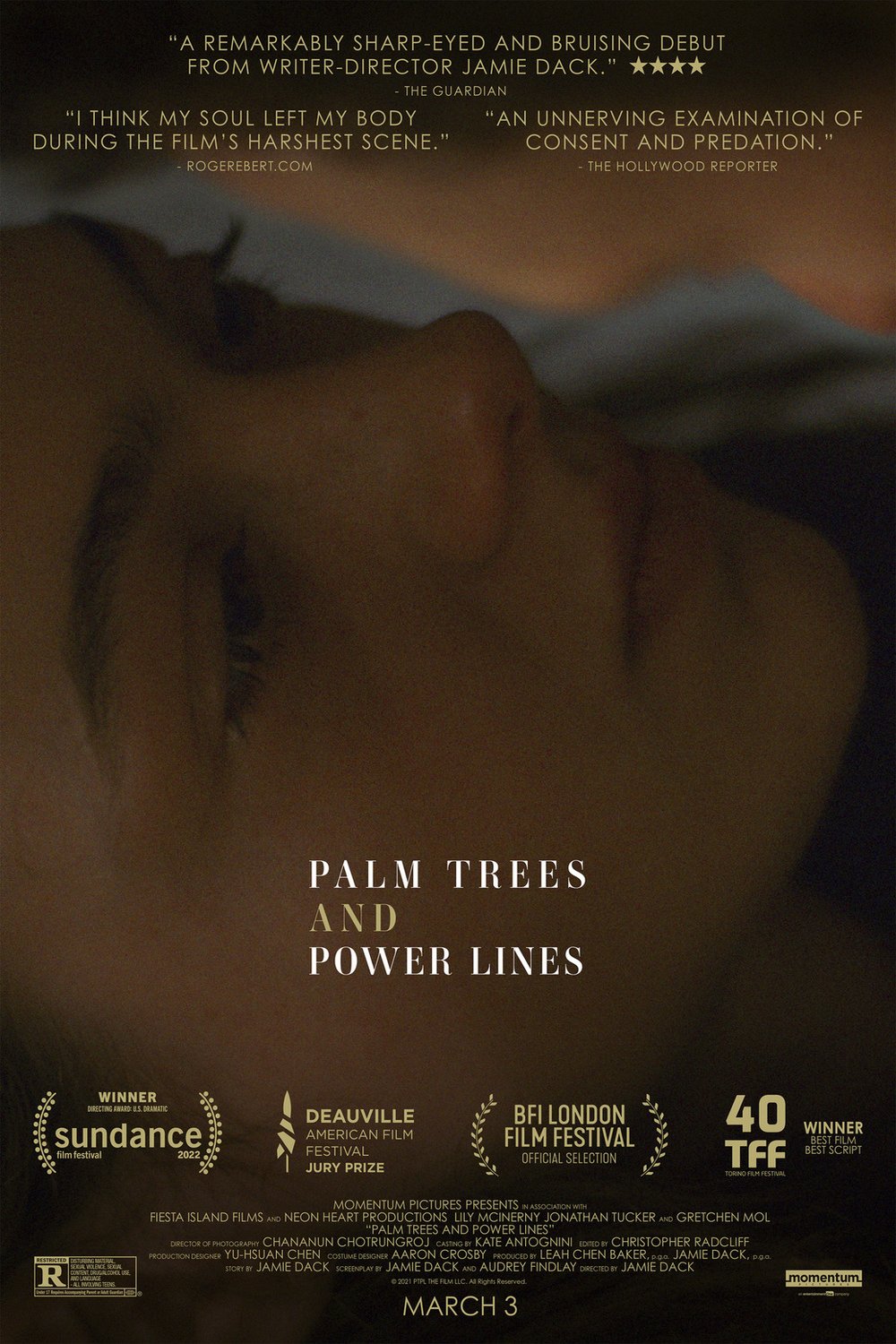 Poster of the movie Palm Trees and Power Lines