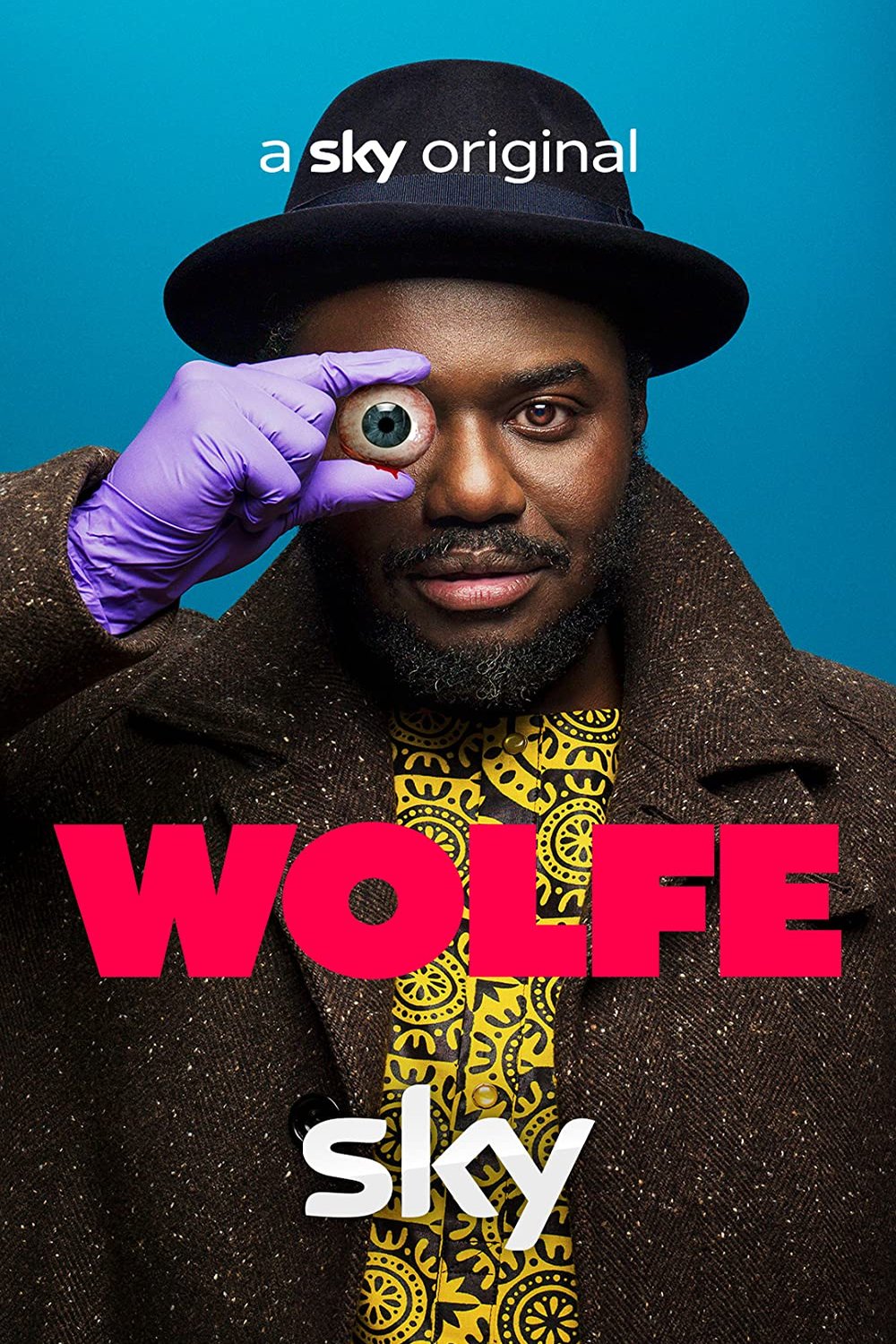 Poster of the movie Wolfe