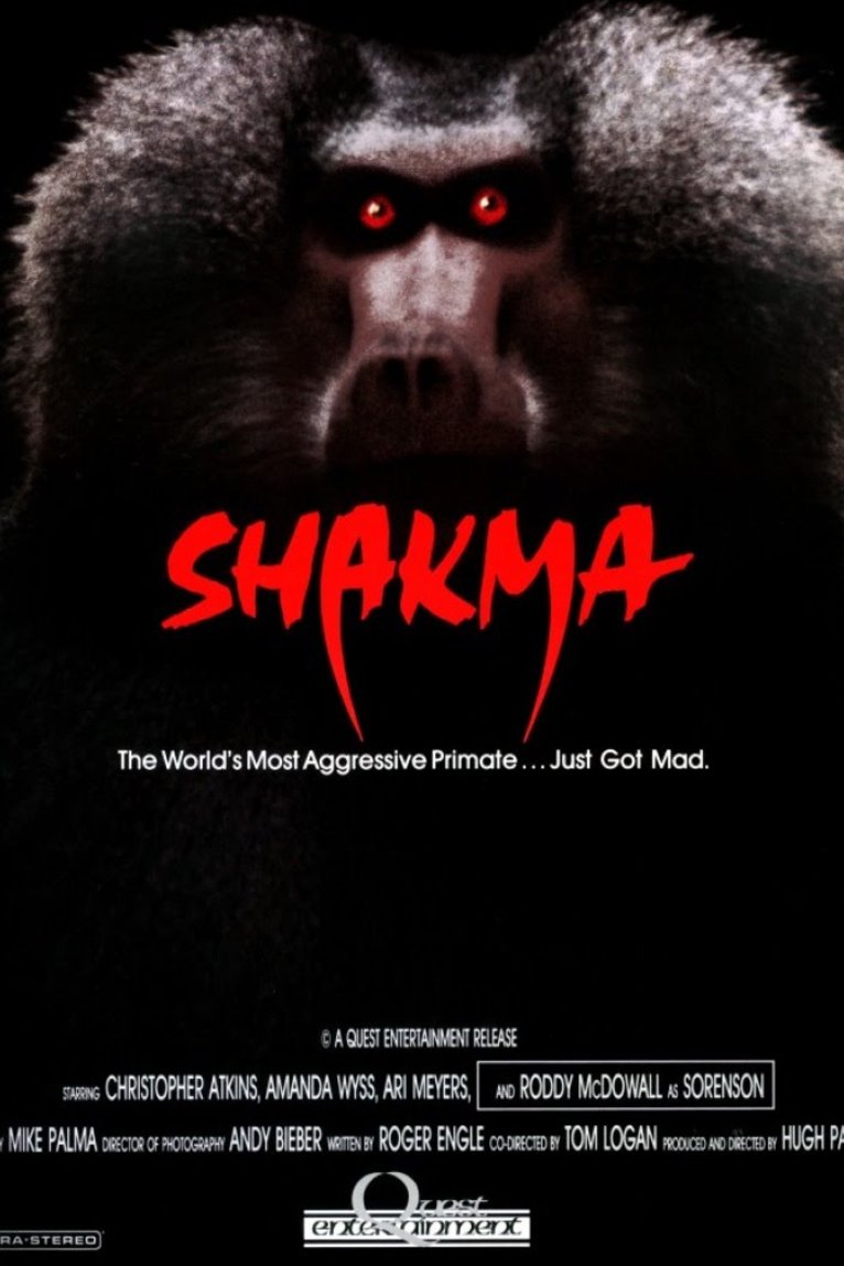 Poster of the movie Shakma