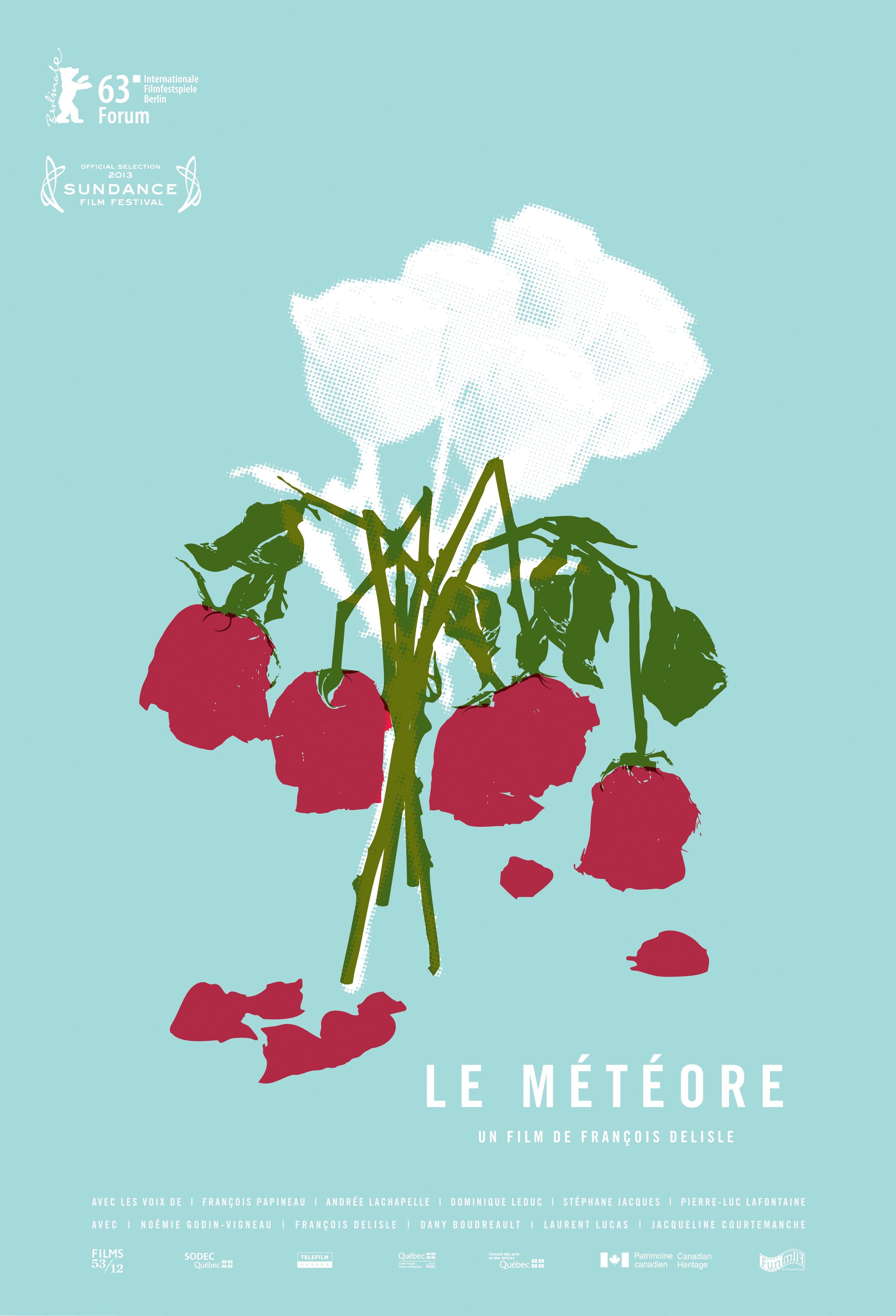 Poster of the movie The Meteor