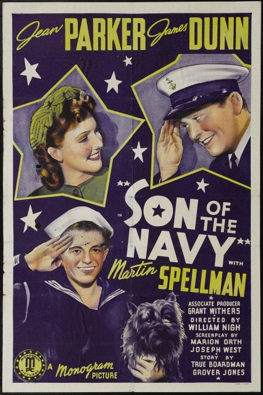 Poster of the movie Son of the Navy