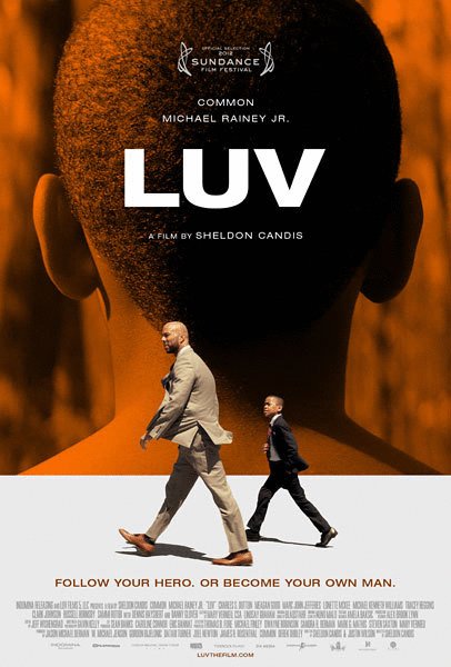 Poster of the movie LUV