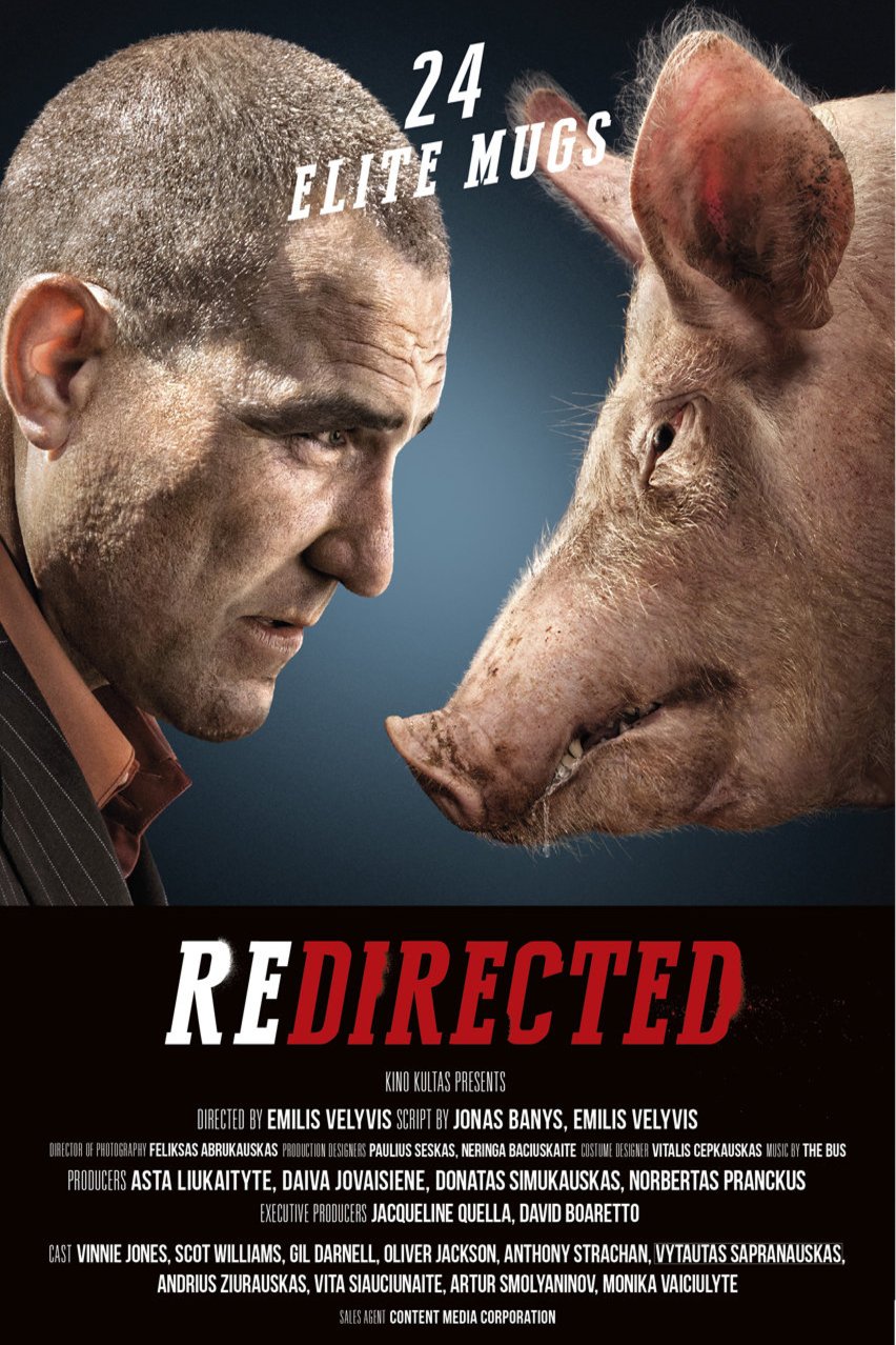 Poster of the movie Redirected