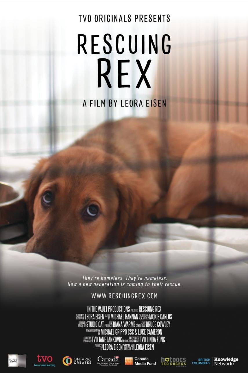 Poster of the movie Rescuing Rex