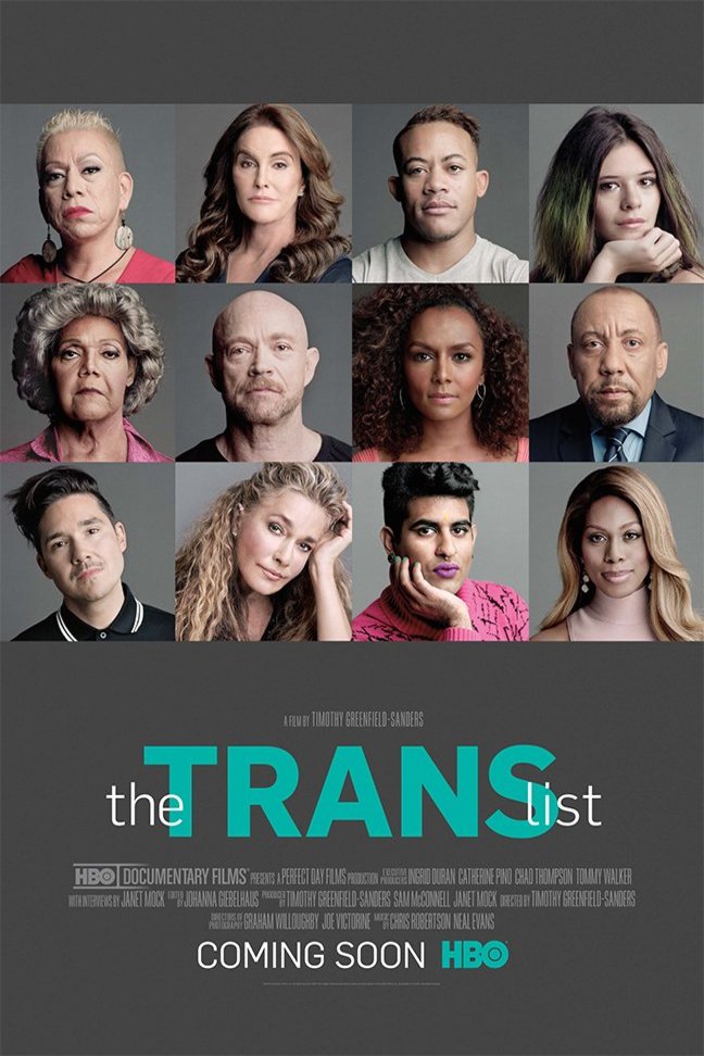 Poster of the movie The Trans List