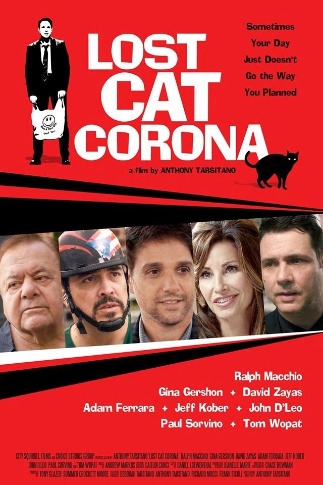 Poster of the movie Lost Cat Corona