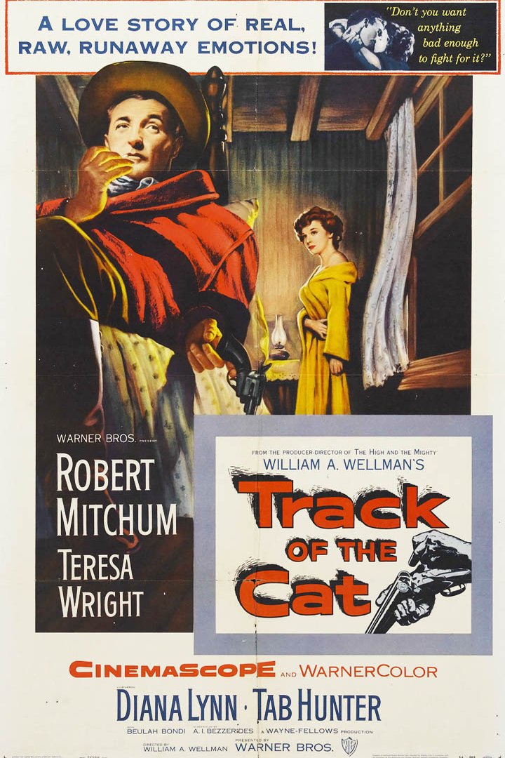 Poster of the movie Track of the Cat