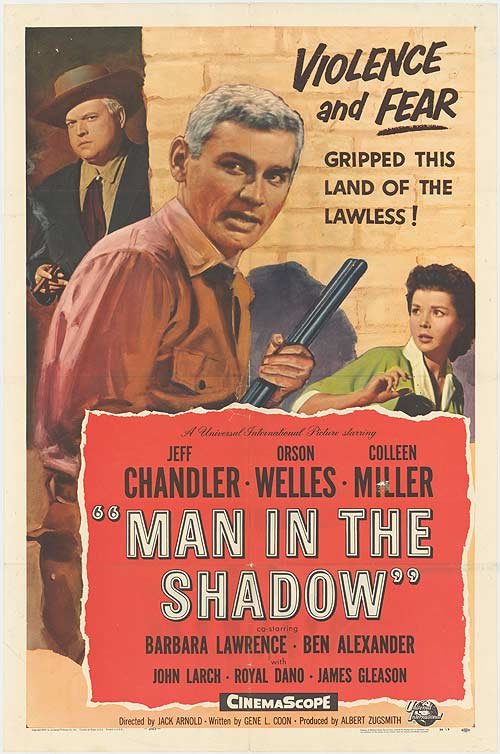 Poster of the movie Man in the Shadow