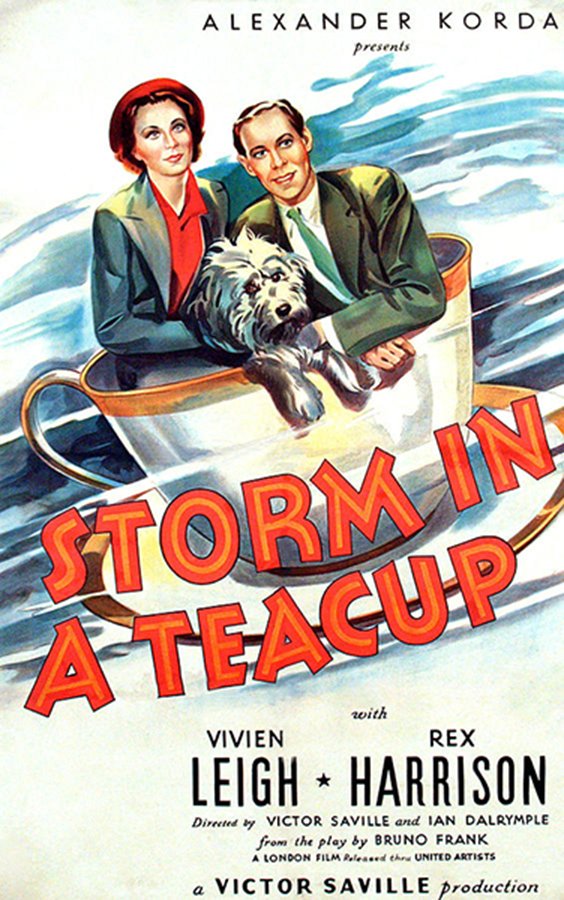Poster of the movie Storm in a Teacup