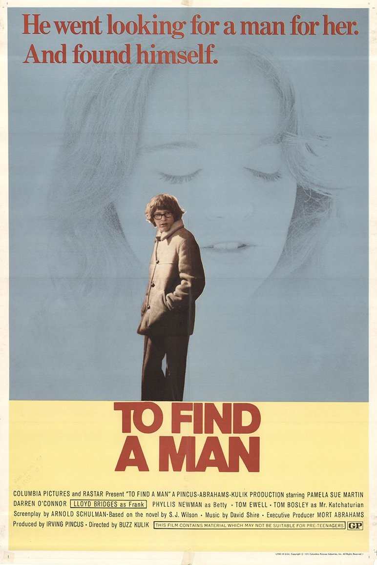Poster of the movie To Find a Man
