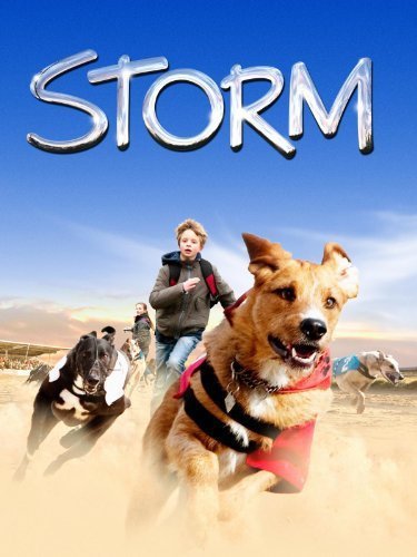 Danish poster of the movie Storm